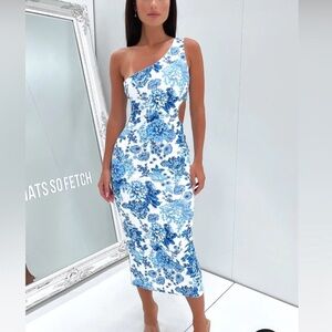 COPY - That’s so fetch midi dress